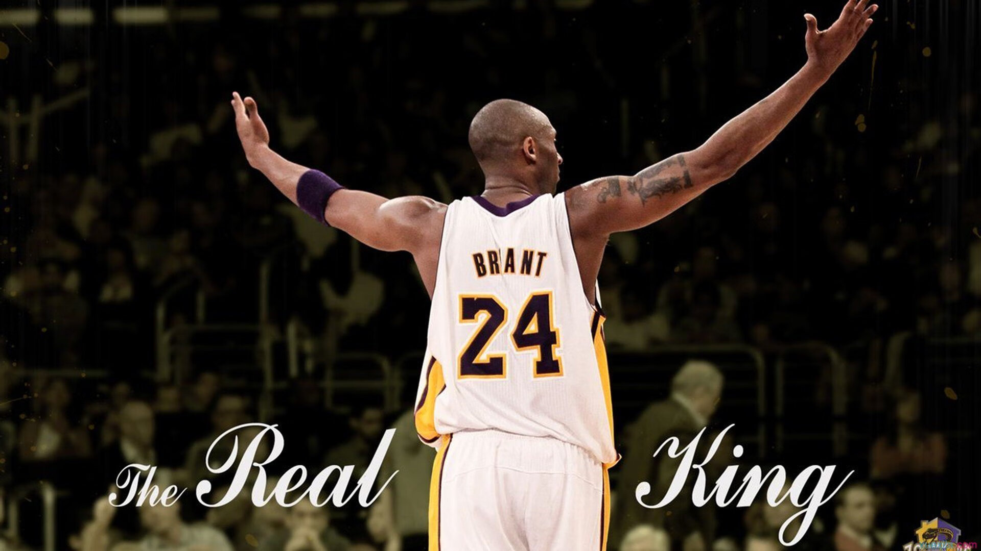 技术细节优化助力比赛节奏控制