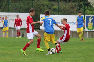 星空官网-突尼斯希望进攻套路单一，被对手识破，突尼斯是啥意思